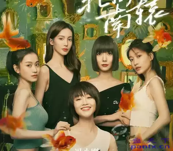 北辙南辕.2021.全30集.1080p.4...