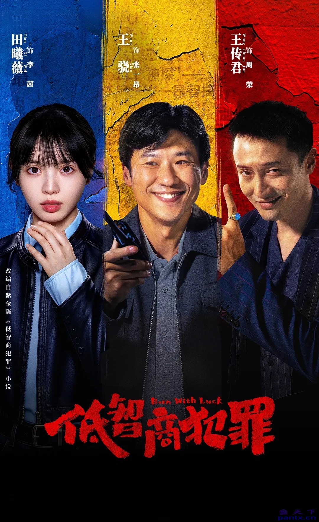 【国产剧】低智商犯罪 (2026) 4K 高码率 HDR DV 夸克网盘资源